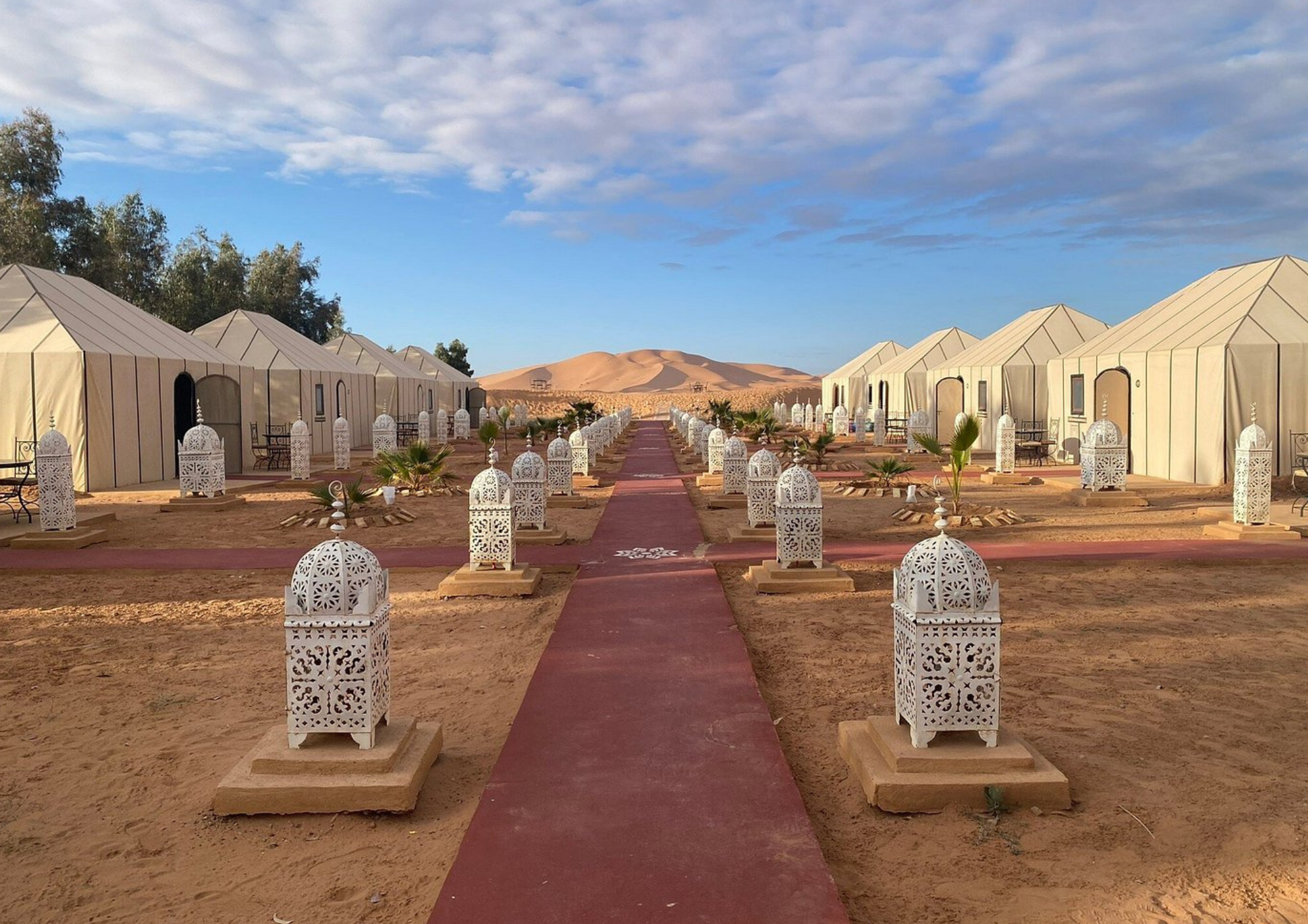 bestmarrakechtours (137)