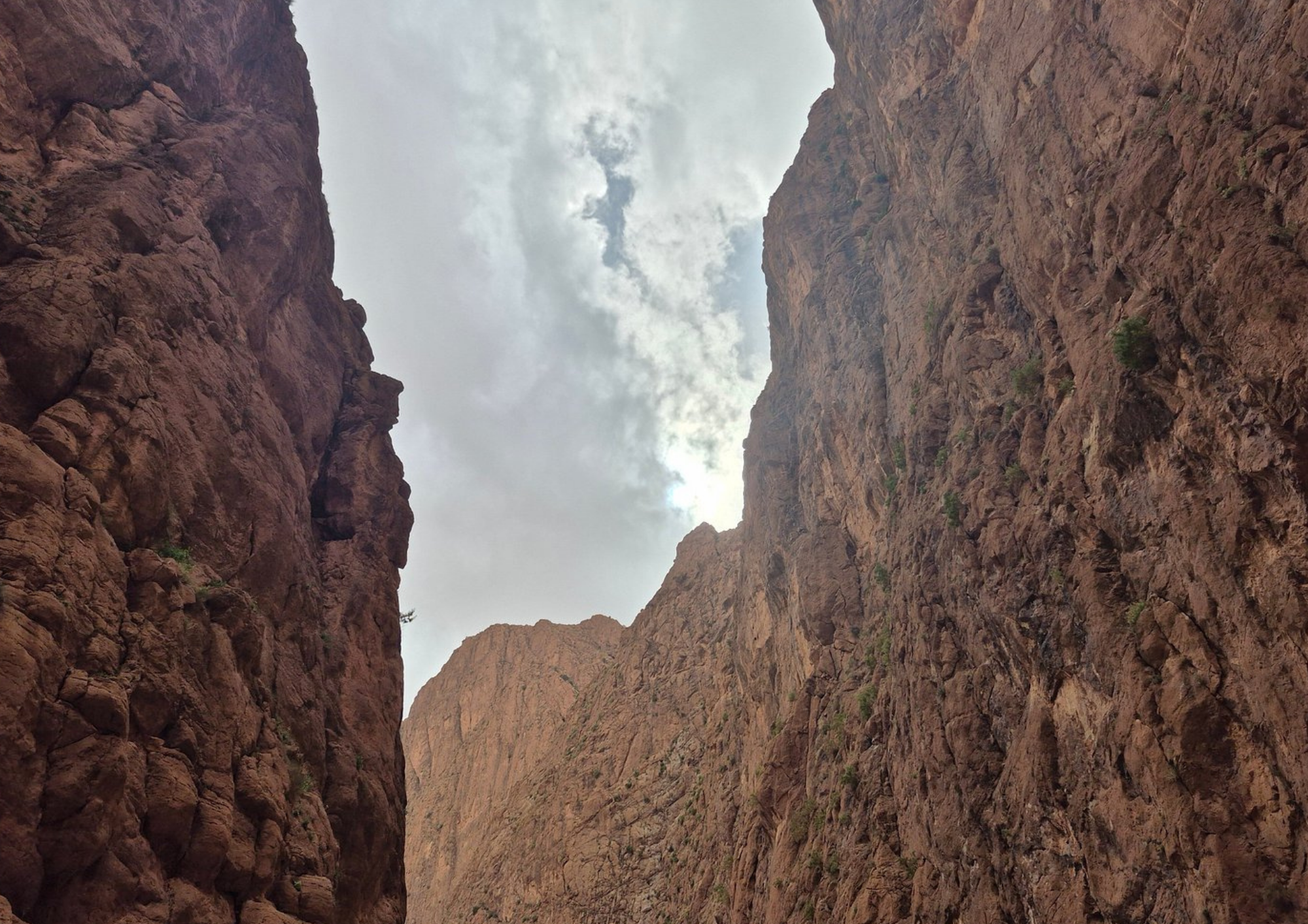 bestmarrakechtours (142)