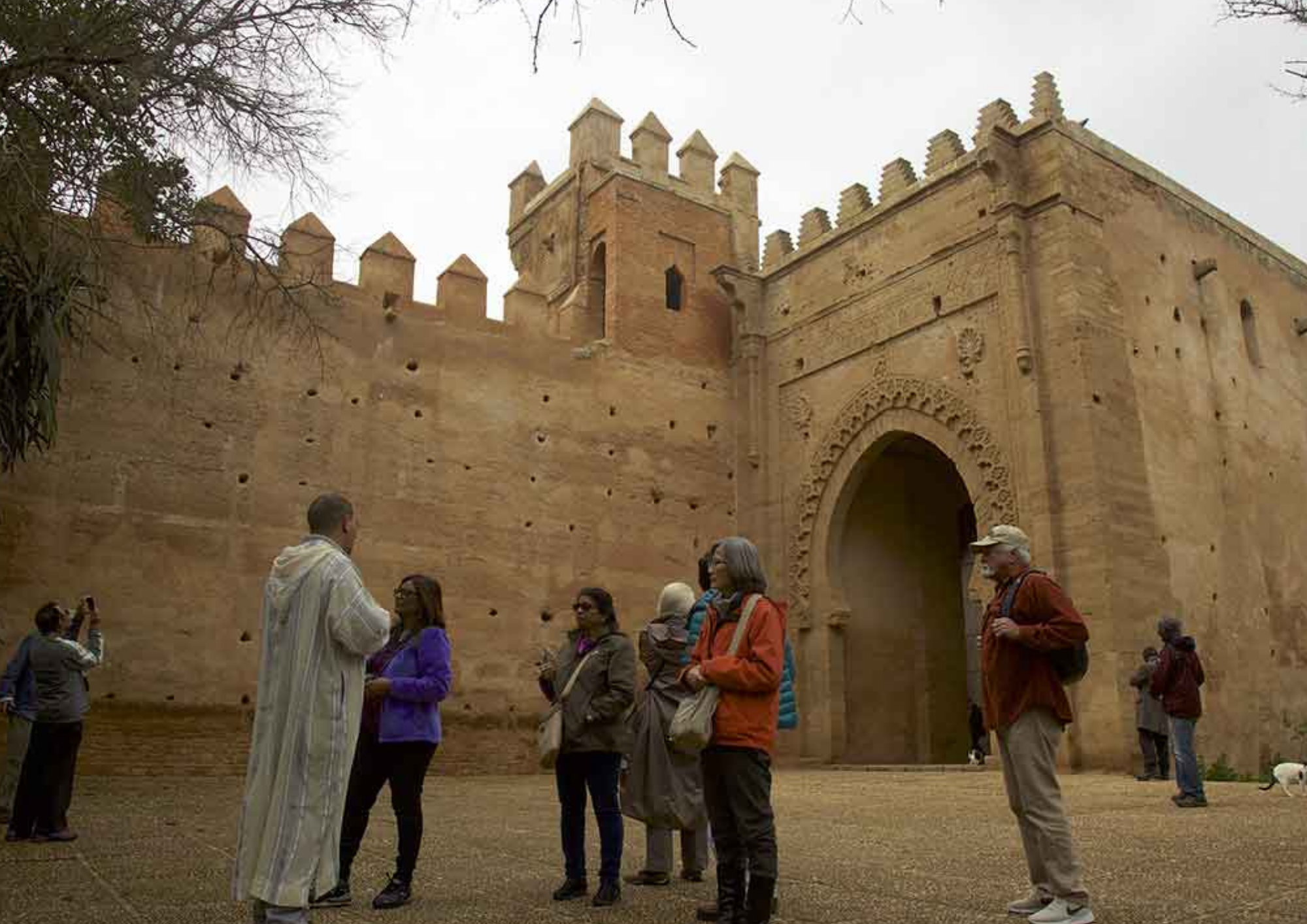 bestmarrakechtours (144)