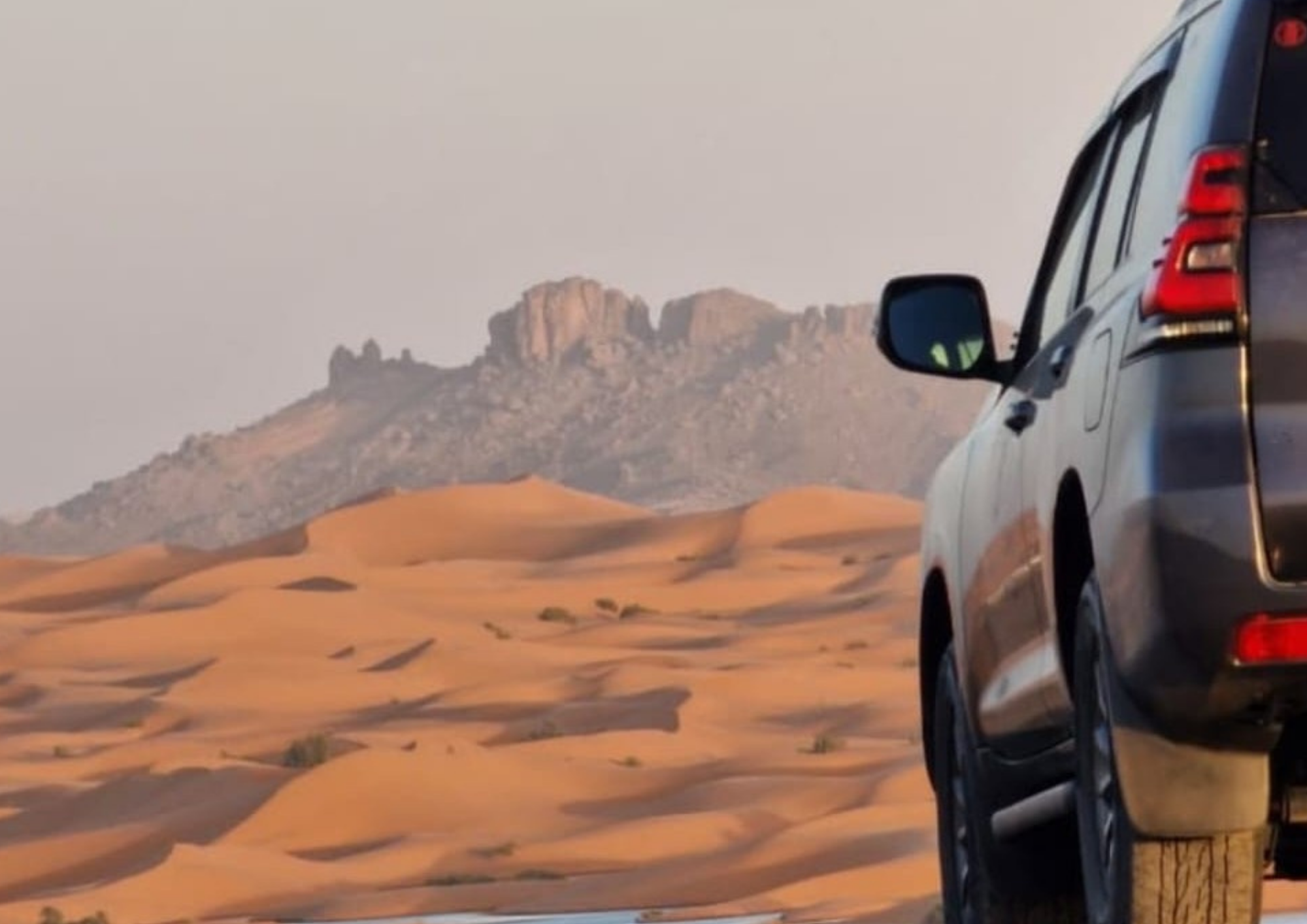 bestmarrakechtours (148)