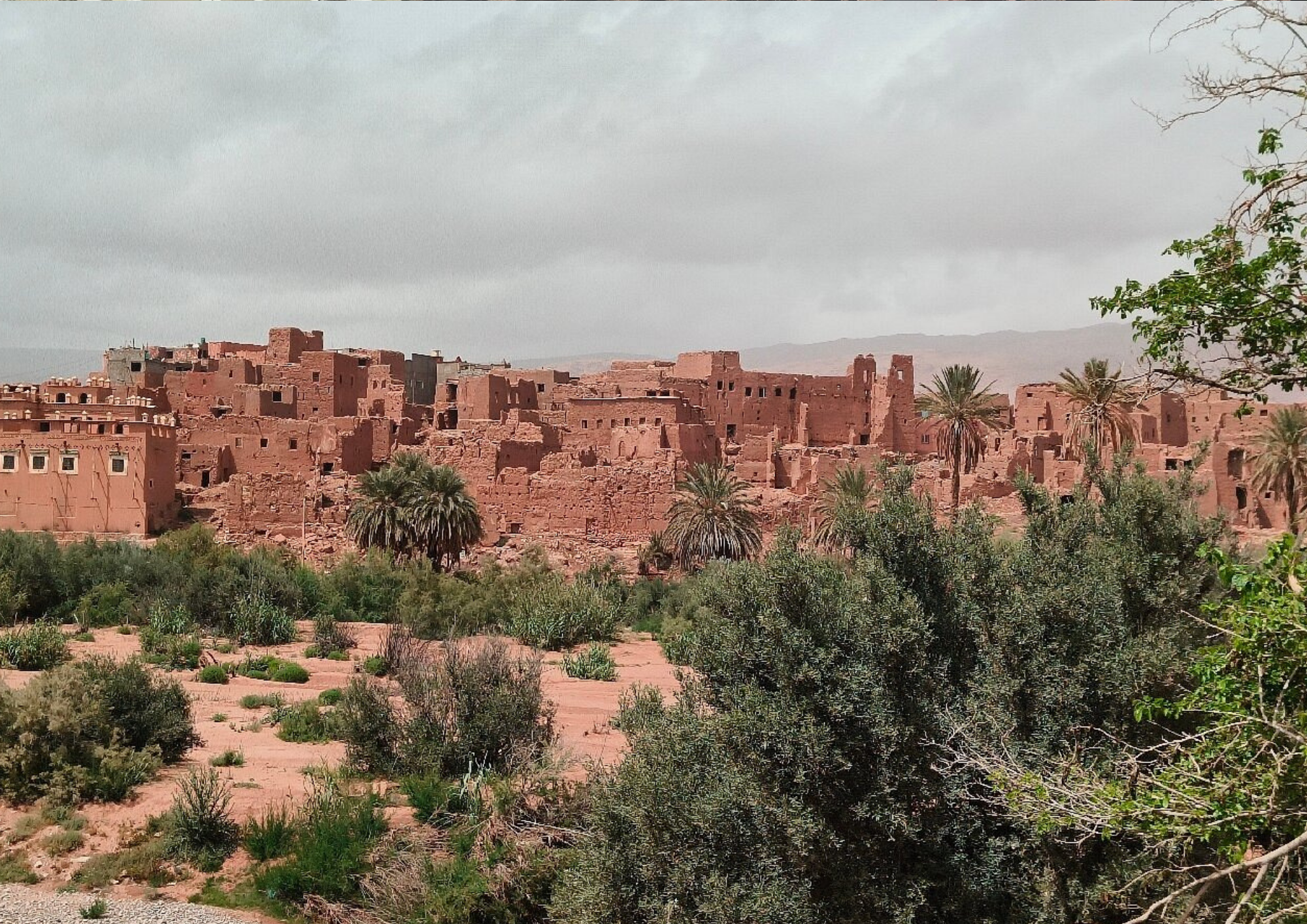 bestmarrakechtours (79)