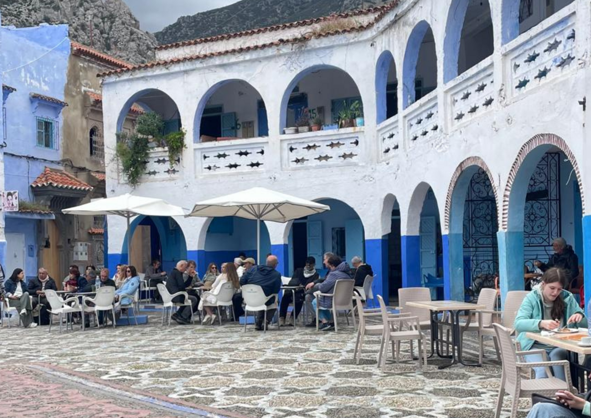 bestmarrakechtours (99)