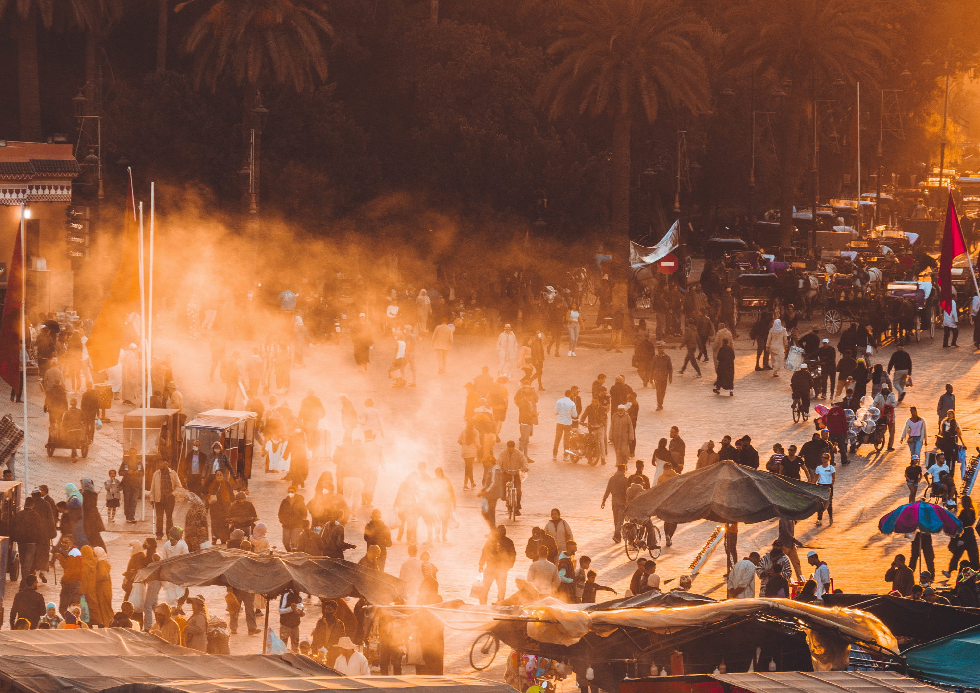 bestmarrakechtours (1)