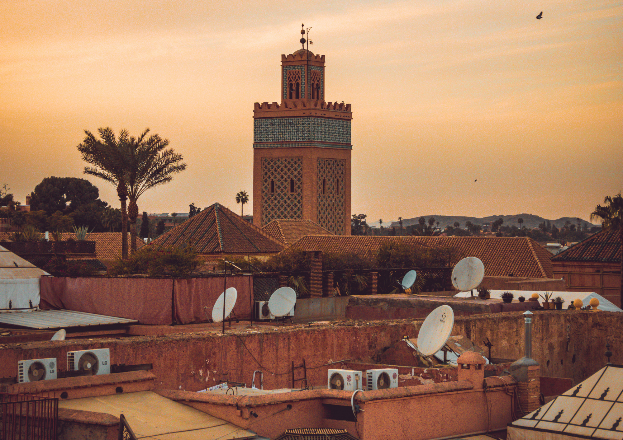 bestmarrakechtours (12)